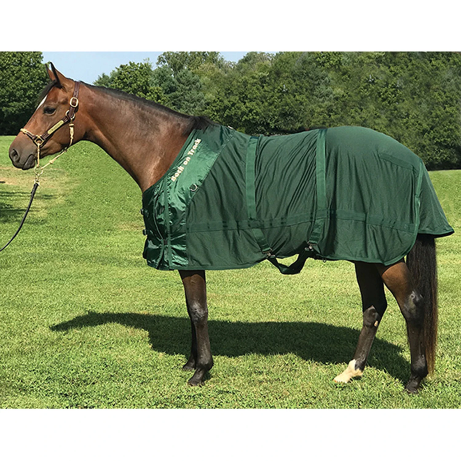 Back On Track Netzdecke 5 Back On Track Netzdecke – Bild 5