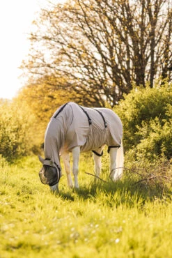 Horze Ekzemerdecke -Cavallo Verkäufe 24812 g 07