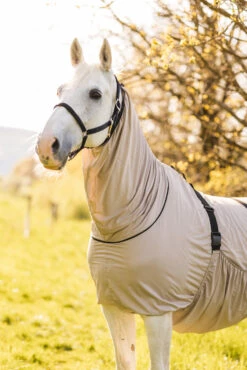 Horze Ekzemerdecke -Cavallo Verkäufe 24812 g 08