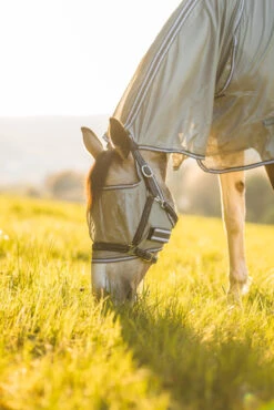 Horze La Pampa Fliegenschutz Set -Cavallo Verkäufe 24817 g 14
