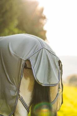 Horze La Pampa Fliegenschutz Set -Cavallo Verkäufe 24817 g 16