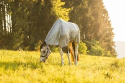 Horze La Pampa Fliegenschutz Set -Cavallo Verkäufe 24817 g 18