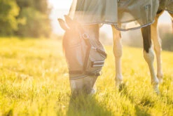 Horze La Pampa Fliegenschutz Set -Cavallo Verkäufe 24817 g 19