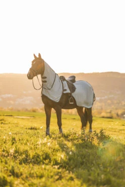 Horze Eira Fliegen-Ausreitdecke Mit Abnehmbarem Halsteil 19 Horze Eira Fliegen-Ausreitdecke Mit Abnehmbarem Halsteil -Cavallo Verkäufe 24822 g 10
