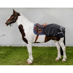 Back On Track Nierendecke