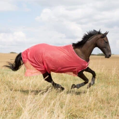 Horze Orleans Fliegendecke -Cavallo Verkäufe 24835 SCPI 1