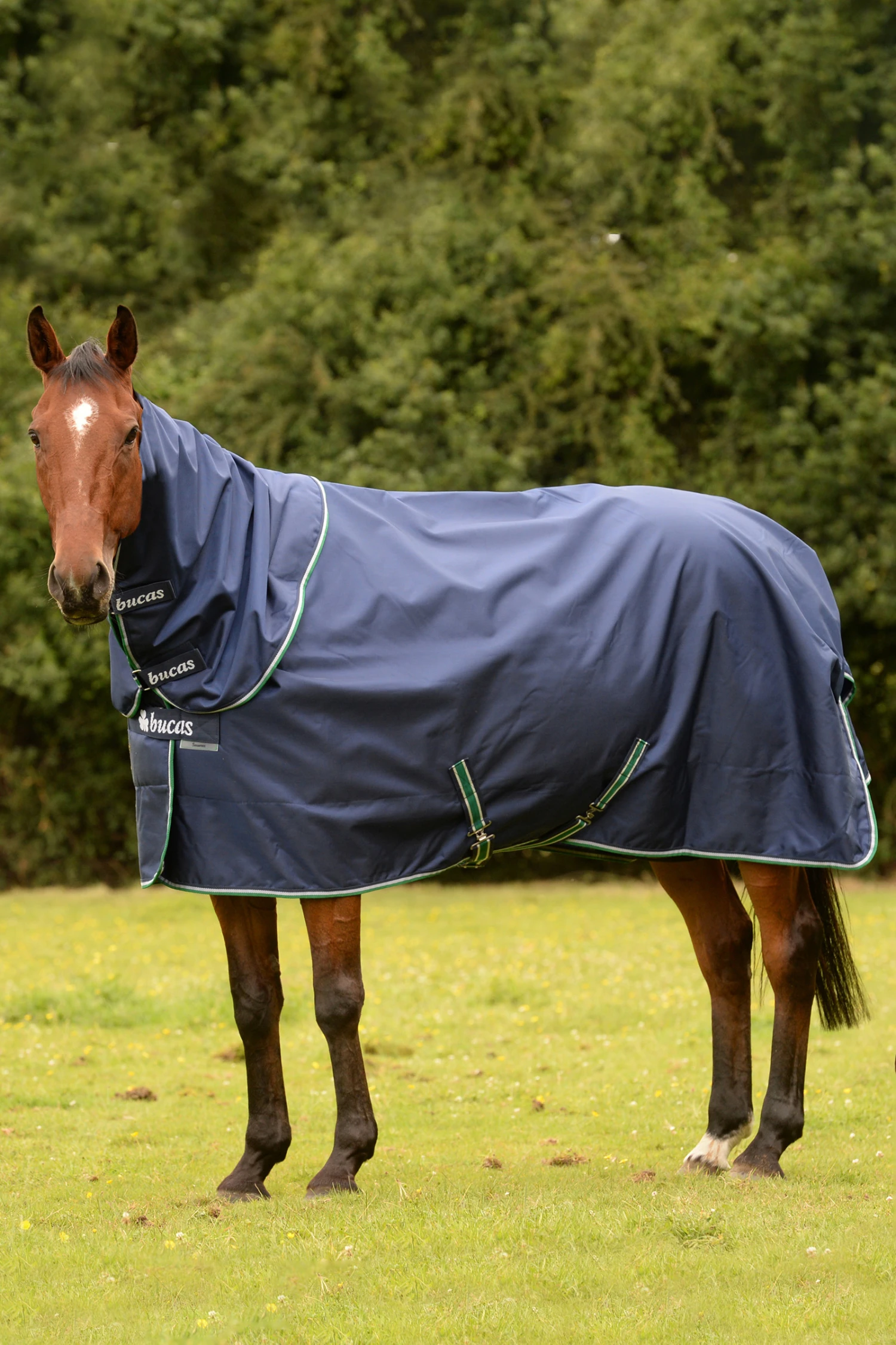 Bucas Smartex Combi Neck, 0g 1 Bucas Smartex Combi Neck, 0g