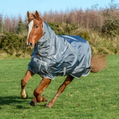 Bucas Smartex Combi Neck, 0g 25 Bucas Smartex Combi Neck, 0g -Cavallo Verkäufe 24860 IG 1