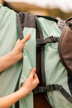 Horze Paso Fino Fliegenausreitdecke Mit Abnehmbarem Halsteil Und UV Schutz -Cavallo Verkäufe 24896 616 10