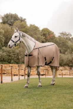 B Vertigo Combo Fly Rug With Detachable Neck And UV Protection -Cavallo Verkäufe 24899 726 09