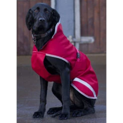 Bucas Freedom Hunde Decke, 50g 30-45 -Cavallo Verkäufe 300441 SRE 1