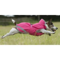 Bucas Freedom Hunde Decke, 50g 30-45 -Cavallo Verkäufe 300441 SRE 2