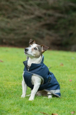 Bucas Freedom Hunde Decke, 50g 50-75