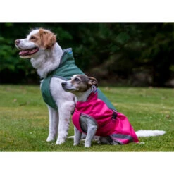 Bucas Freedom Hunde Decke, 50g 50-75 9 Bucas Freedom Hunde Decke, 50g 50-75 -Cavallo Verkäufe 300442 SRE 2