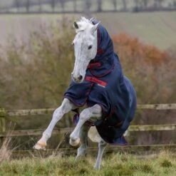 Bucas Freedom Turnout Full Neck Regendecke Mit Festem Halsteil, 0g -Cavallo Verkäufe 300453 GDG 2