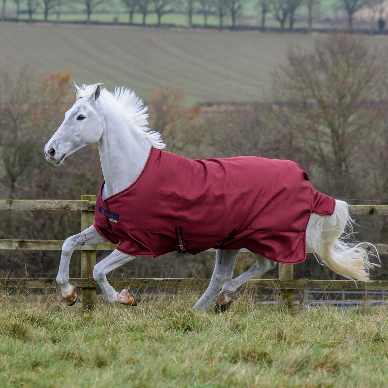 Bucas Freedom Turnout Light Regendecke, 0g 4 Bucas Freedom Turnout Light Regendecke, 0g – Bild 4