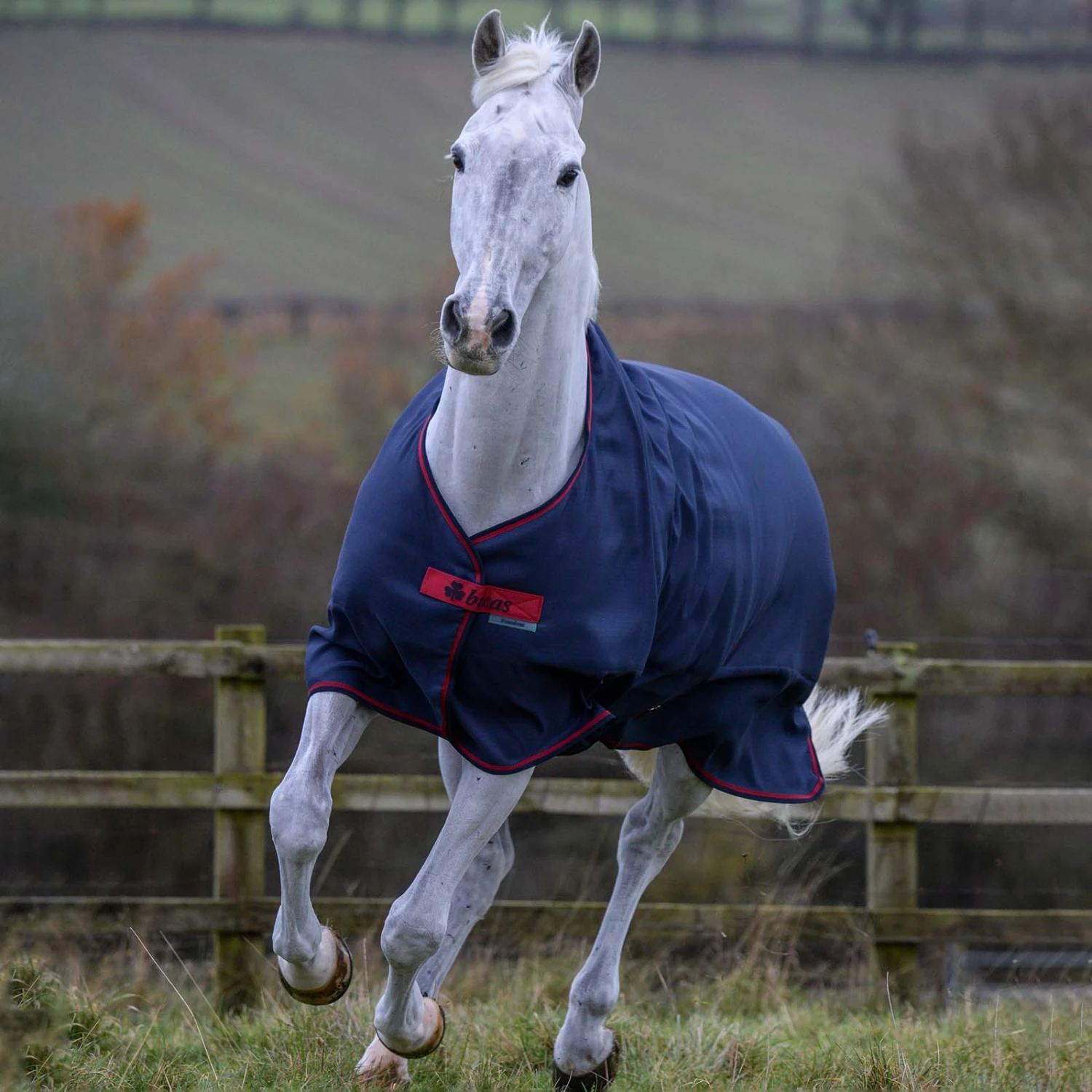 Bucas Freedom Turnout Light Regendecke, 0g 7 Bucas Freedom Turnout Light Regendecke, 0g – Bild 7