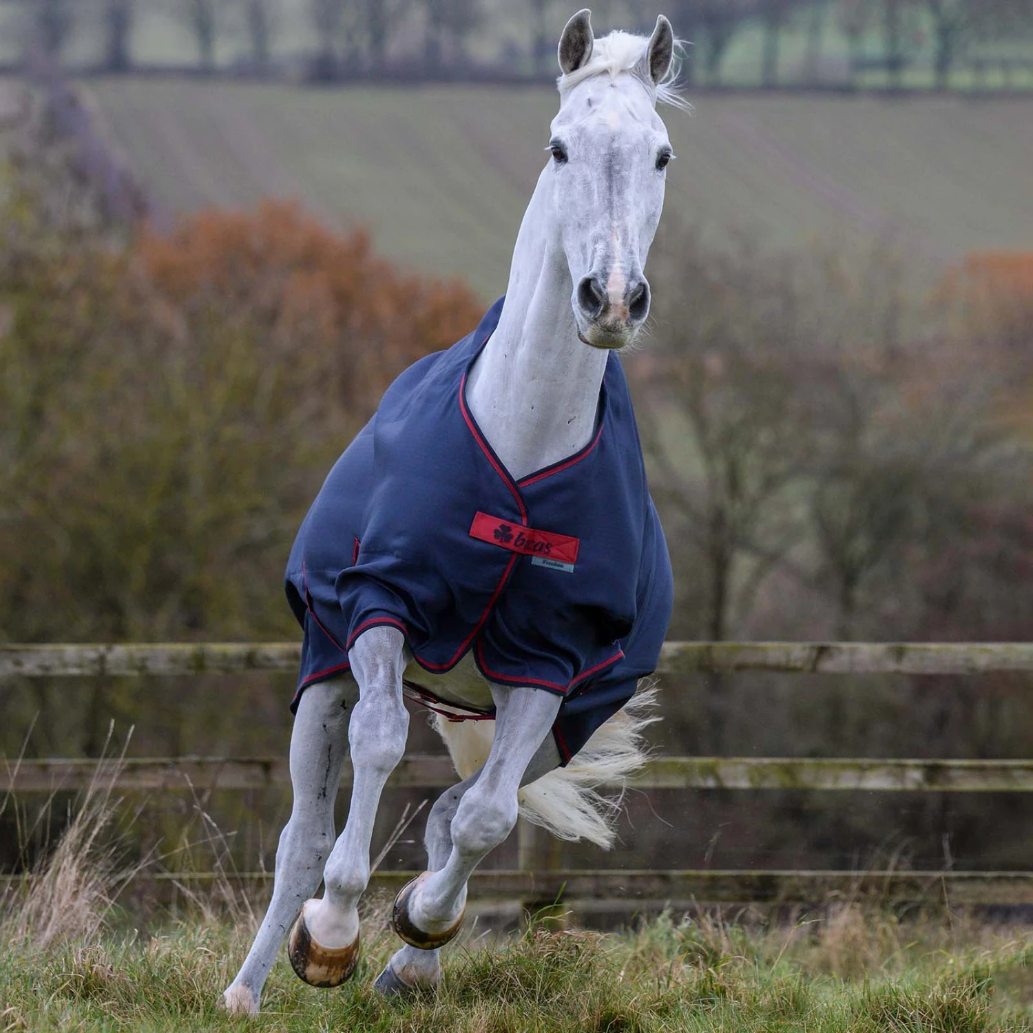 Bucas Freedom Turnout Light Regendecke, 0g 8 Bucas Freedom Turnout Light Regendecke, 0g – Bild 8