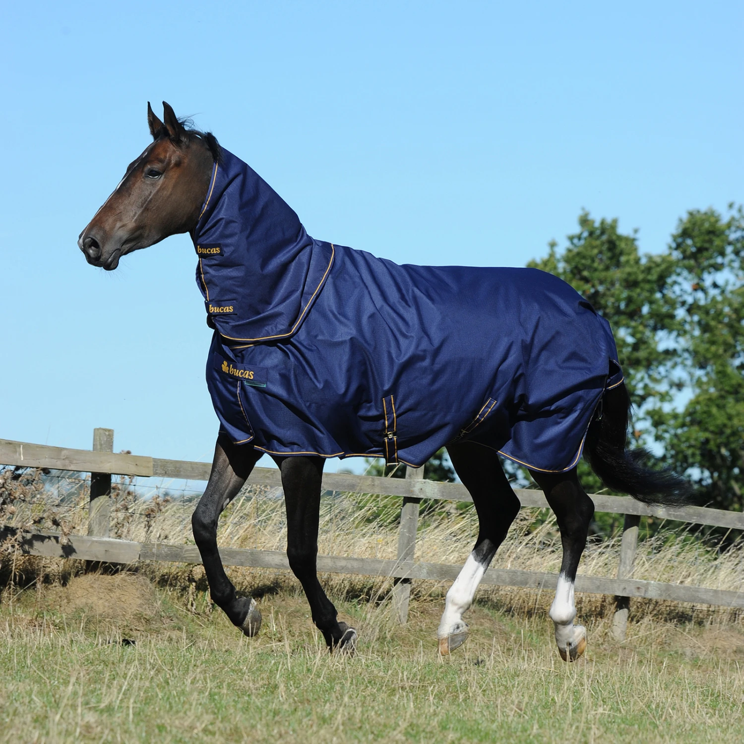 Bucas Irish Turnout Combi Halsteil 300g 2 Bucas Irish Turnout Combi Halsteil 300g – Bild 2