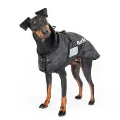 Back On Track Hundemantel 46-82 Cm