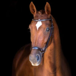 Schockemöhle Copenhagen Trense -Cavallo Verkäufe 306265 DBR SI 3