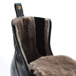 Tonics Stardust Frost -Cavallo Verkäufe 306472 BL 3