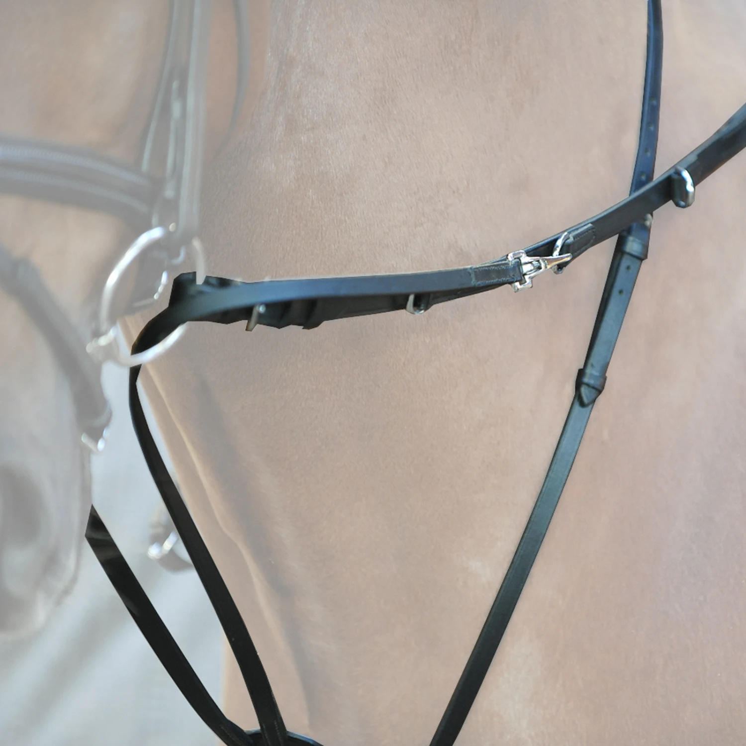 Kavalkade Thiedemann-/Köhler-Zügel 4 Kavalkade Thiedemann-/Köhler-Zügel – Bild 4