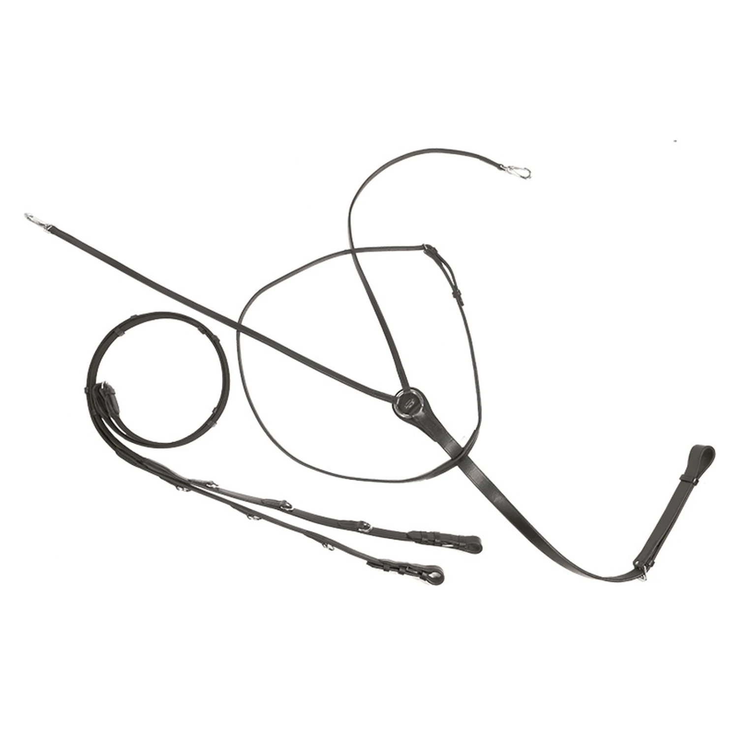 Kavalkade Thiedemann-/Köhler-Zügel 6 Kavalkade Thiedemann-/Köhler-Zügel – Bild 6