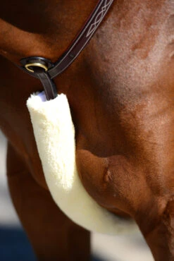 Kentucky Horsewear Lammfell Brustriemen-Schutz -Cavallo Verkäufe 313003 NAT 1