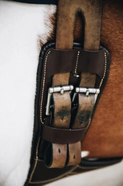 Kentucky Horsewear Kurzer Stollenschutzsattelgurt -Cavallo Verkäufe 313010 BR 3