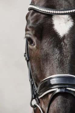 Schockemöhle Malibu Dressur-Trense Mit Kristalldetail 11 Schockemöhle Malibu Dressur-Trense Mit Kristalldetail -Cavallo Verkäufe 313775 BL PTG 3
