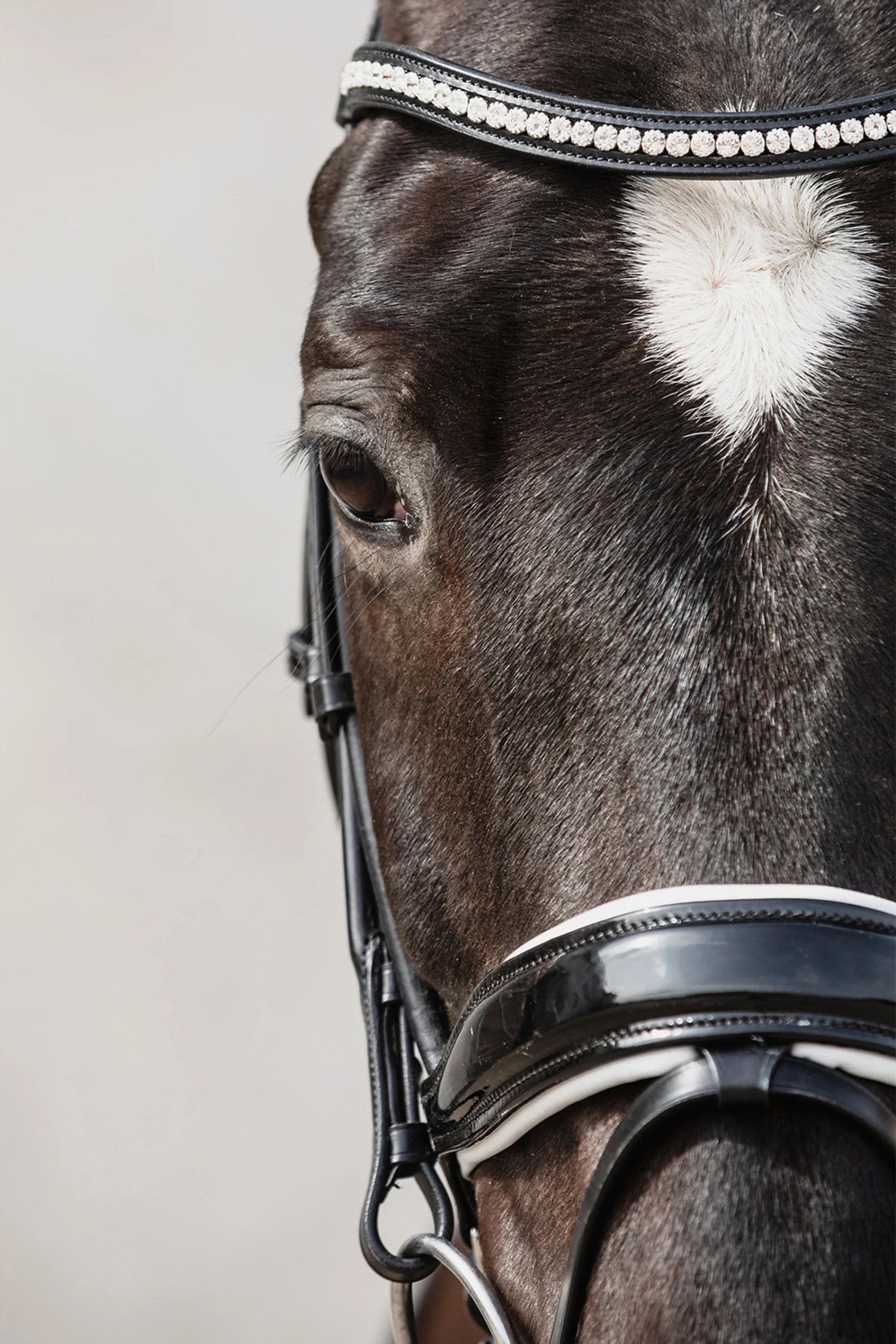 Schockemöhle Malibu Dressur-Trense Mit Kristalldetail 6 Schockemöhle Malibu Dressur-Trense Mit Kristalldetail – Bild 6