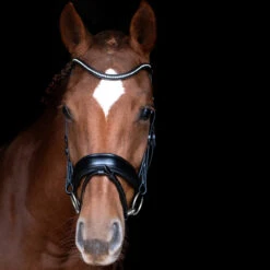 Schockemöhle Stanford Anatomische Trense 8 Schockemöhle Stanford Anatomische Trense -Cavallo Verkäufe 313787 BL SI 3