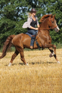 F.R.A. Cavallo Hufschuh Simple -Cavallo Verkäufe 314920 BR 3