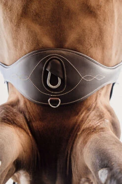 Kentucky Horsewear Anatomischer Gurt 7 Kentucky Horsewear Anatomischer Gurt -Cavallo Verkäufe 316147 BR 3