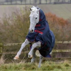Bucas Freedom Turnout Light Fullneck Pony Regendecke Mit Festem Halsteil -Cavallo Verkäufe 316869 GDG 2