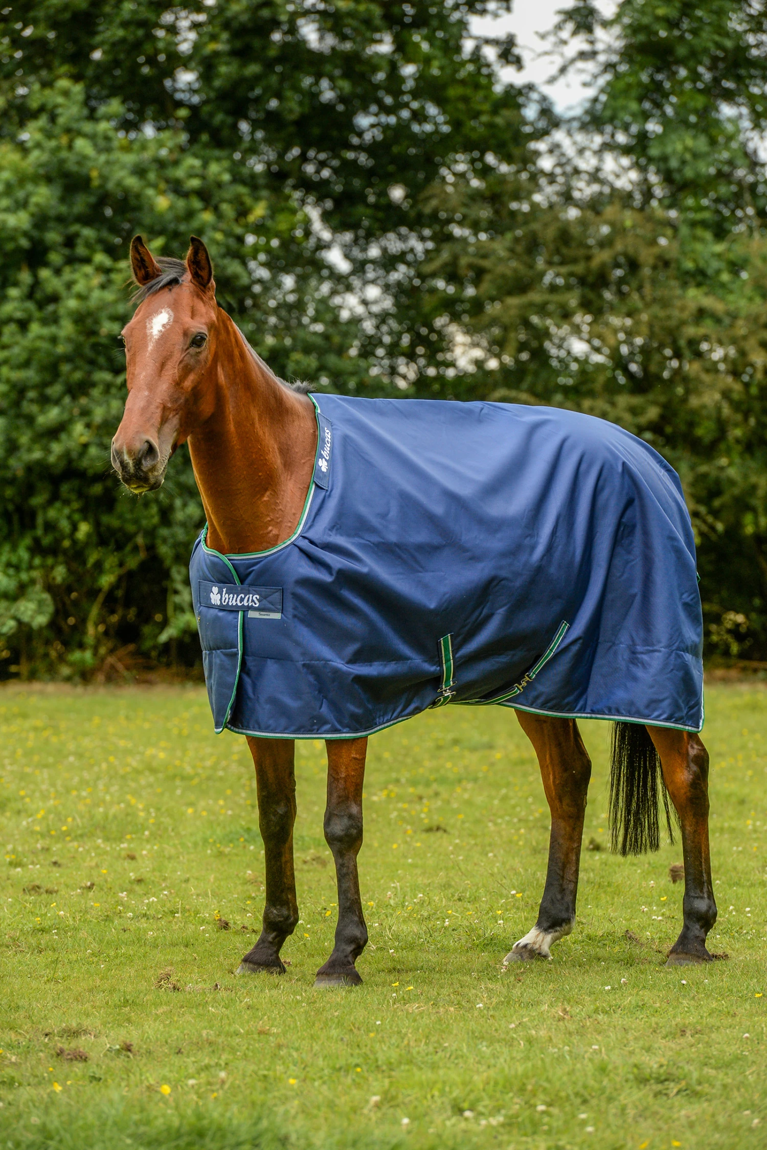 Bucas Smartex Rain Big Neck Regendecke Mit Abschwitzfunktion, 0g 1 Bucas Smartex Rain Big Neck Regendecke Mit Abschwitzfunktion, 0g