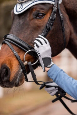 Horze Isa Damen Sommerreithandschuhe 23 Horze Isa Damen Sommerreithandschuhe -Cavallo Verkäufe 31741 025 06