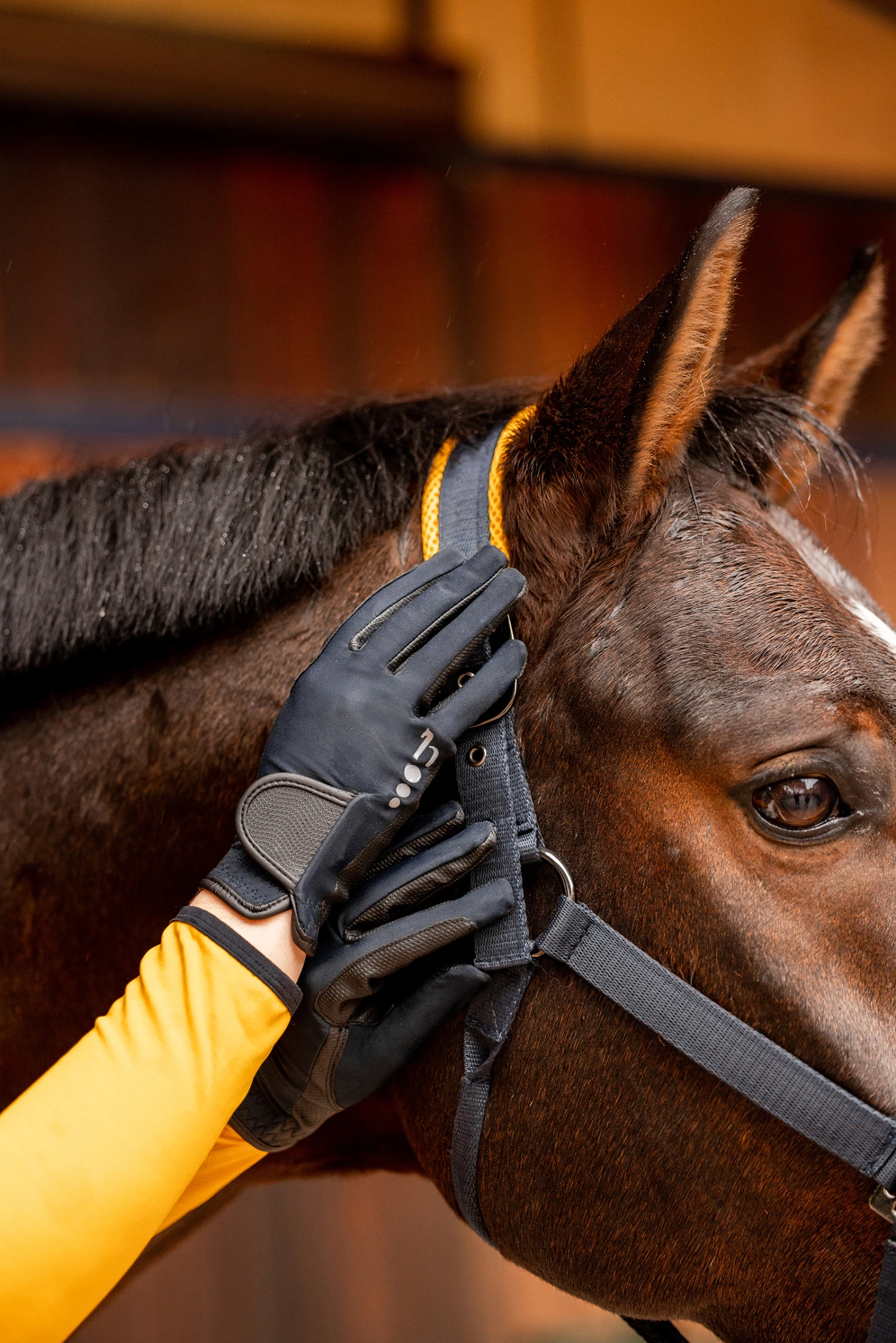 Horze Isa Damen Sommerreithandschuhe 6 Horze Isa Damen Sommerreithandschuhe – Bild 6