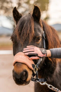 Horze Rainbow Kinder Sommerreithandschuhe -Cavallo Verkäufe 31743 333 07