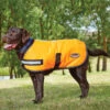 Weatherbeeta Reflective 300D Hundedecke