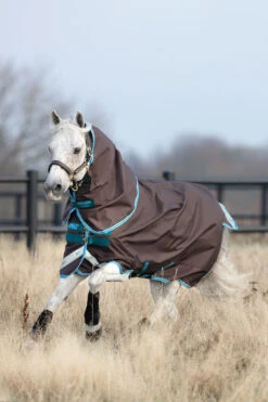 Horseware Amigo Bravo 12 Pony Weidedecke Inkl. Abnehmbarem Halsteil, 0g -Cavallo Verkäufe 320362 DG B 2