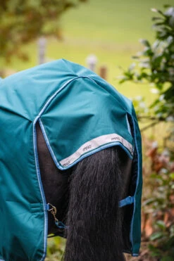 Horseware Amigo Bravo 12 Regendecke Mit Hohem Hals, 0g 16 Horseware Amigo Bravo 12 Regendecke Mit Hohem Hals, 0g -Cavallo Verkäufe 320364 STGR 06