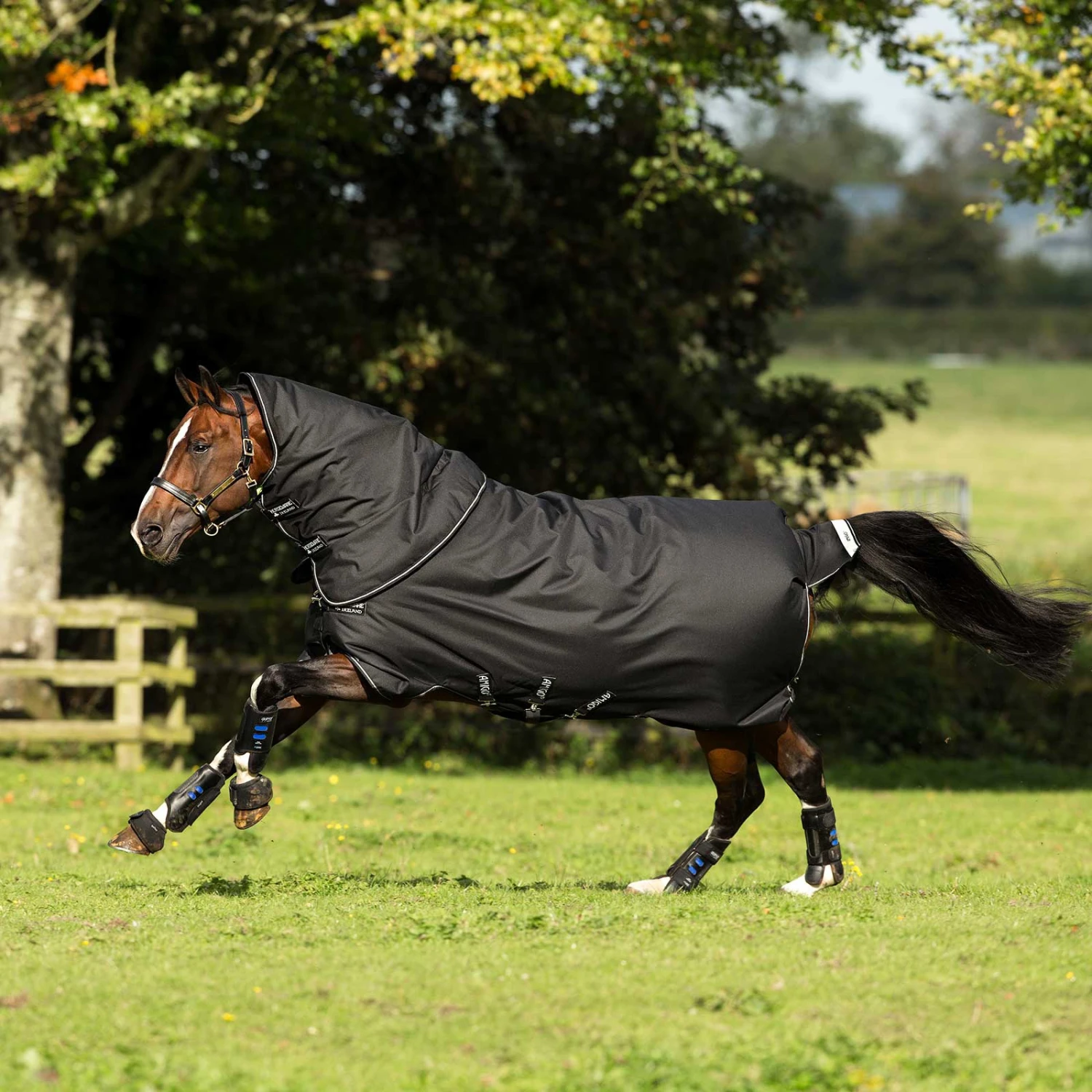 Horseware Amigo Bravo 12 Plus Weidedecke, 400g 2 Horseware Amigo Bravo 12 Plus Weidedecke, 400g – Bild 2