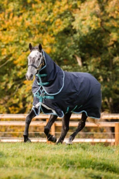 Horseware Amigo Bravo 12 Plus Winterdecke Mit Abnehmbarem Halsteil, 250g 16 Horseware Amigo Bravo 12 Plus Winterdecke Mit Abnehmbarem Halsteil, 250g -Cavallo Verkäufe 320370 DB AB 2