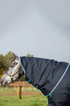 Horseware Amigo Bravo 12 Plus Winterdecke Mit Abnehmbarem Halsteil, 250g 18 Horseware Amigo Bravo 12 Plus Winterdecke Mit Abnehmbarem Halsteil, 250g -Cavallo Verkäufe 320370 DB AB 4