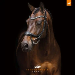 Schockemöhle Equitus Beta Anatomische Spezialtrense -Cavallo Verkäufe 322313 BL SI 3