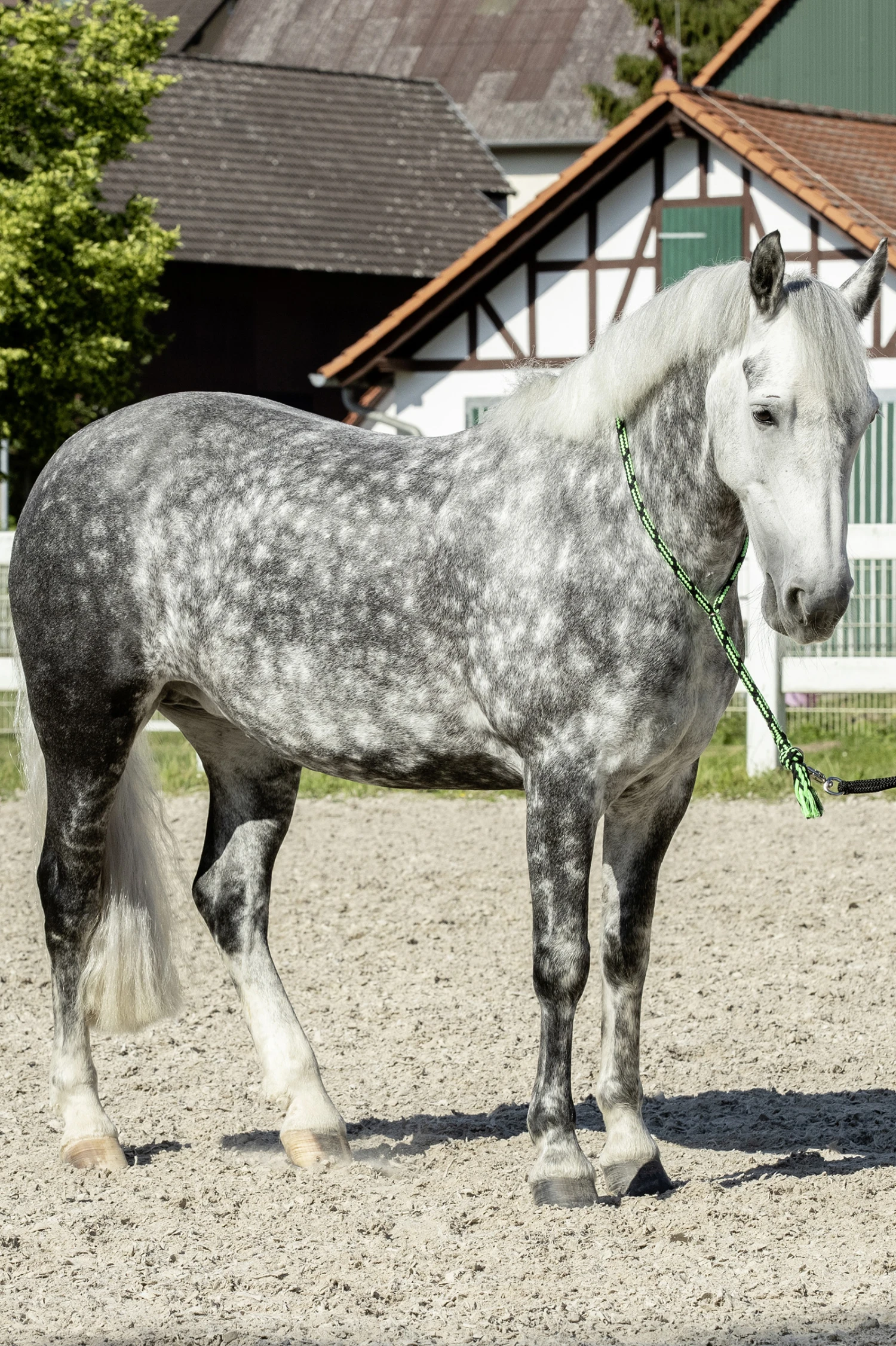 USG Halsring Soft 8 USG Halsring Soft – Bild 8