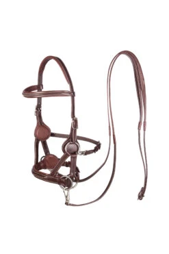 F.R.A. Flandy /side Pull (System 3) English Leather -Cavallo Verkäufe 322896 BR 1