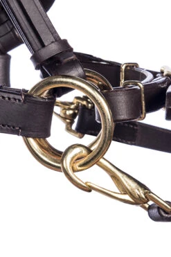 F.R.A. Pariba Sidepull (System 3) Mit Geflochtenem Nasenriemen, Inkl. Zügel -Cavallo Verkäufe 322922 BR BRS 2